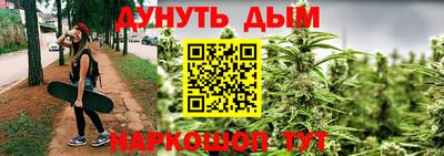 ALPHA PVP Камышлов