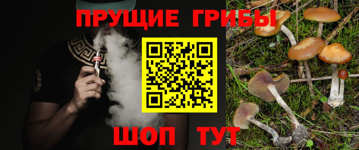 Галлюциногенные грибы Psilocybe  Галлюциногенные грибы MAGIC MUSHROOMS  Вход с VPN  Краснознаменск 