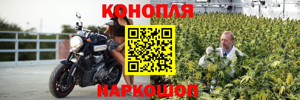 Бошки марихуана SATIVA & INDICA Краснознаменск